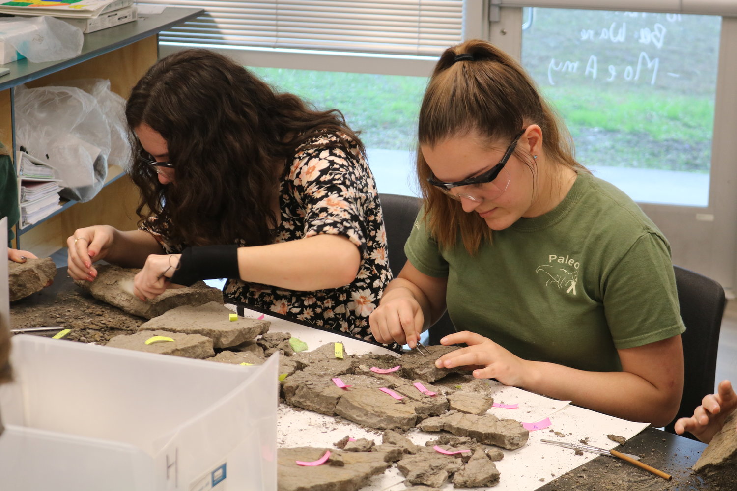 Lara Sgouridis and Kendra Lay in the midst of the fossil cleaning process.